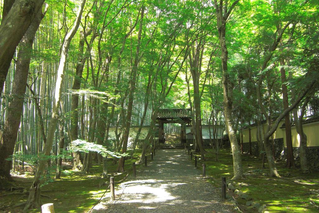 Saizen Matsumuro Stay Kyōto Esterno foto
