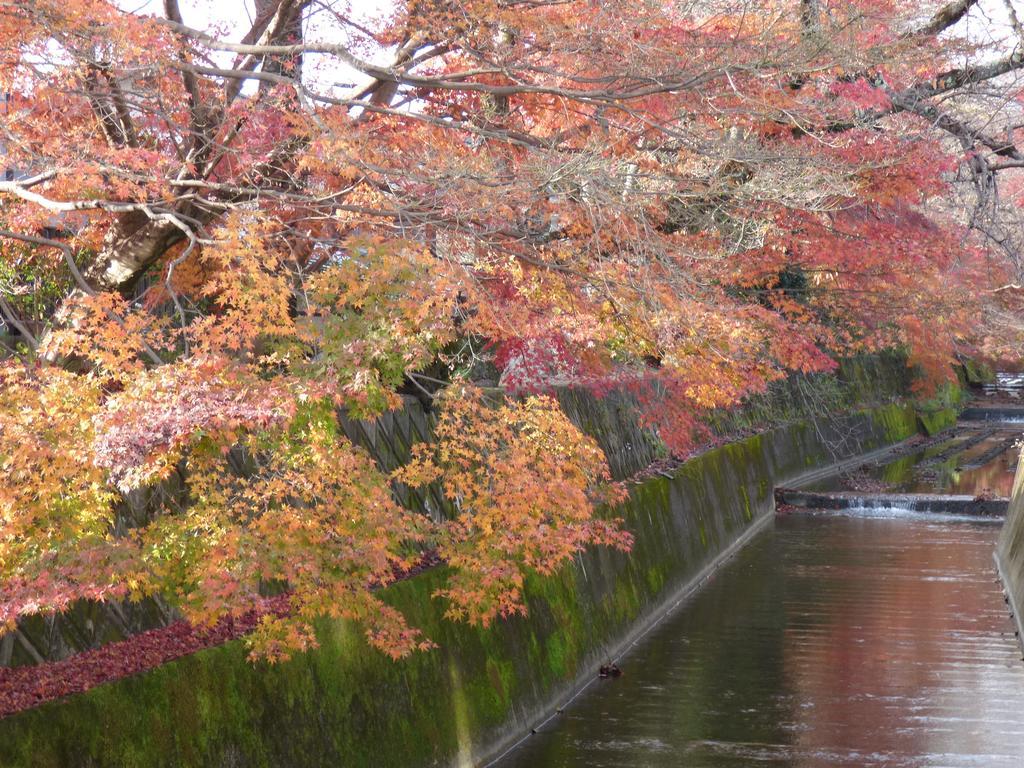Saizen Matsumuro Stay Kyōto Esterno foto