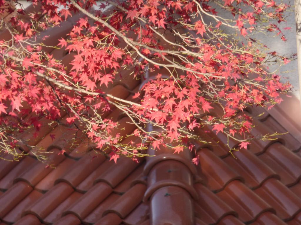 Saizen Matsumuro Stay Kyōto Esterno foto