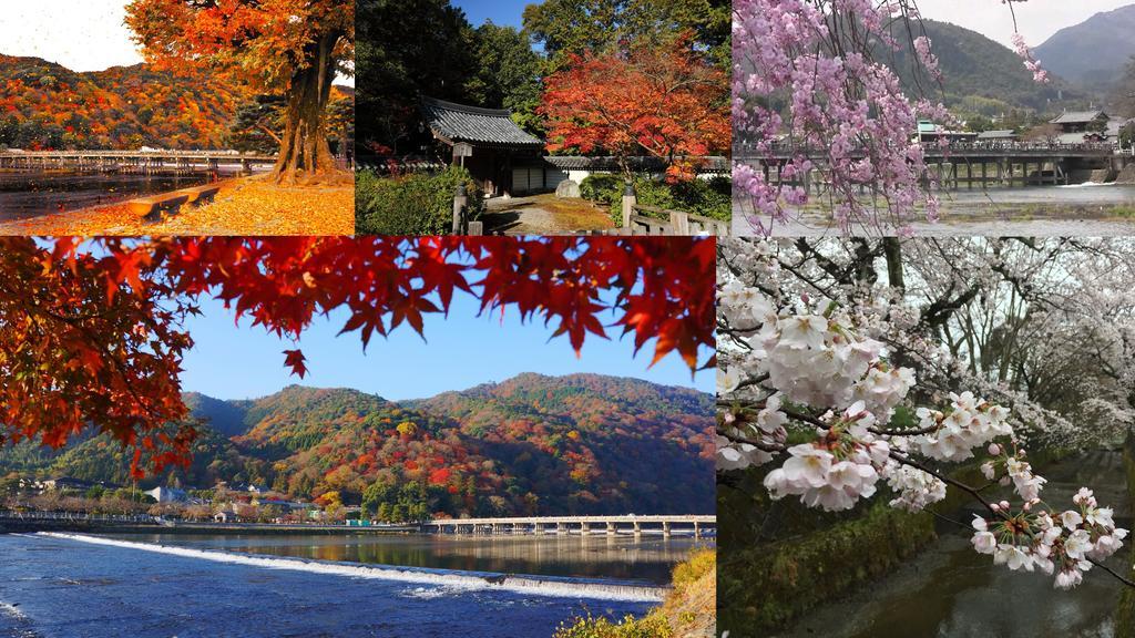Saizen Matsumuro Stay Kyōto Esterno foto