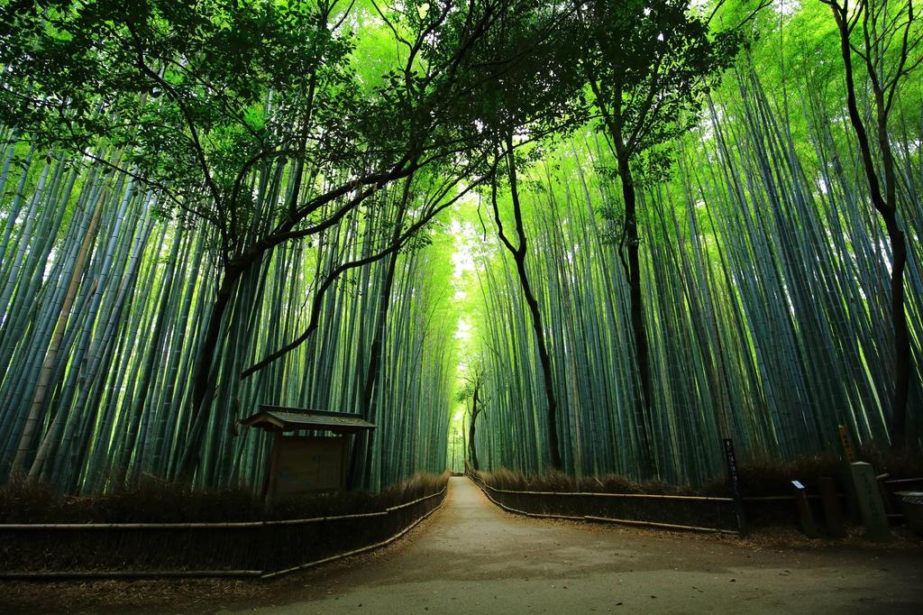 Saizen Matsumuro Stay Kyōto Esterno foto